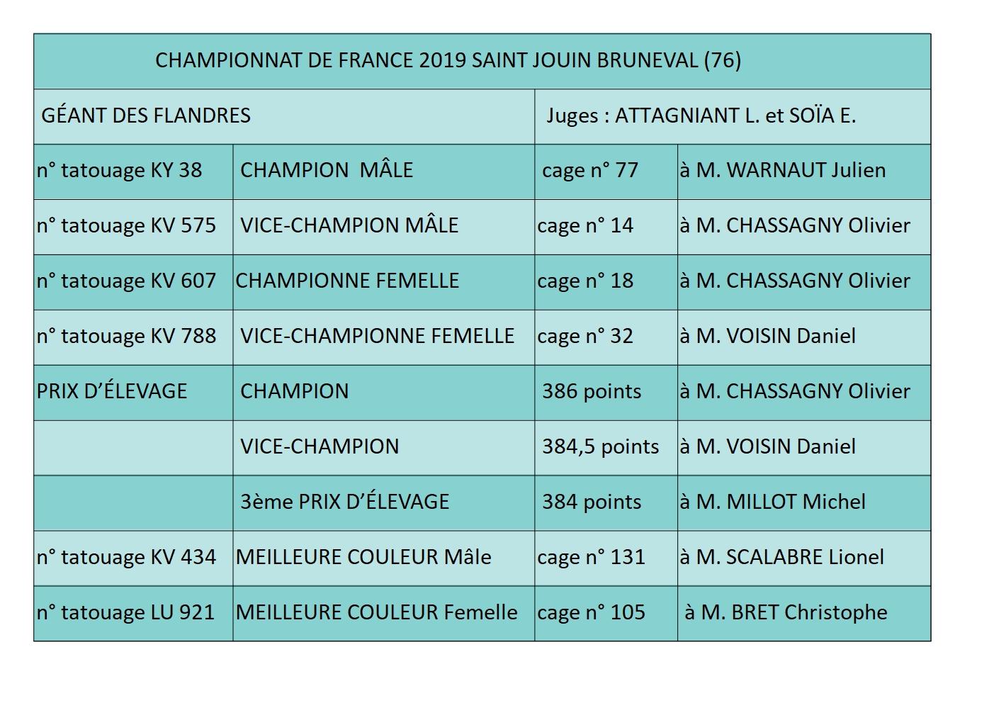 Palmares 2019geant des flandres 2